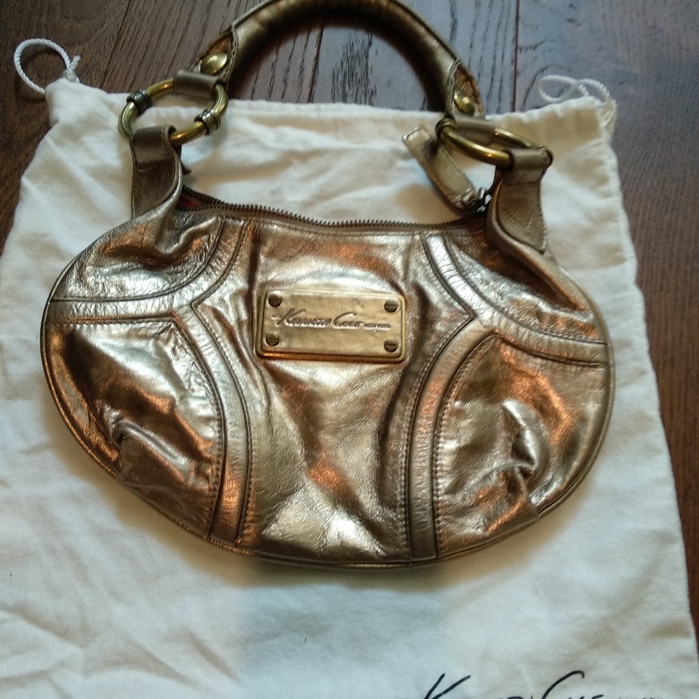 Kenneth Cole bag with dust bag